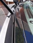 IMG_20200829_140500354.jpg